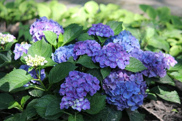 Solutions personnalisées de climatisation à toulouse pour votre confort