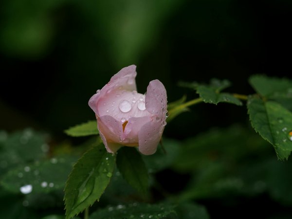 Comment planifier efficacement une rénovation de piscine